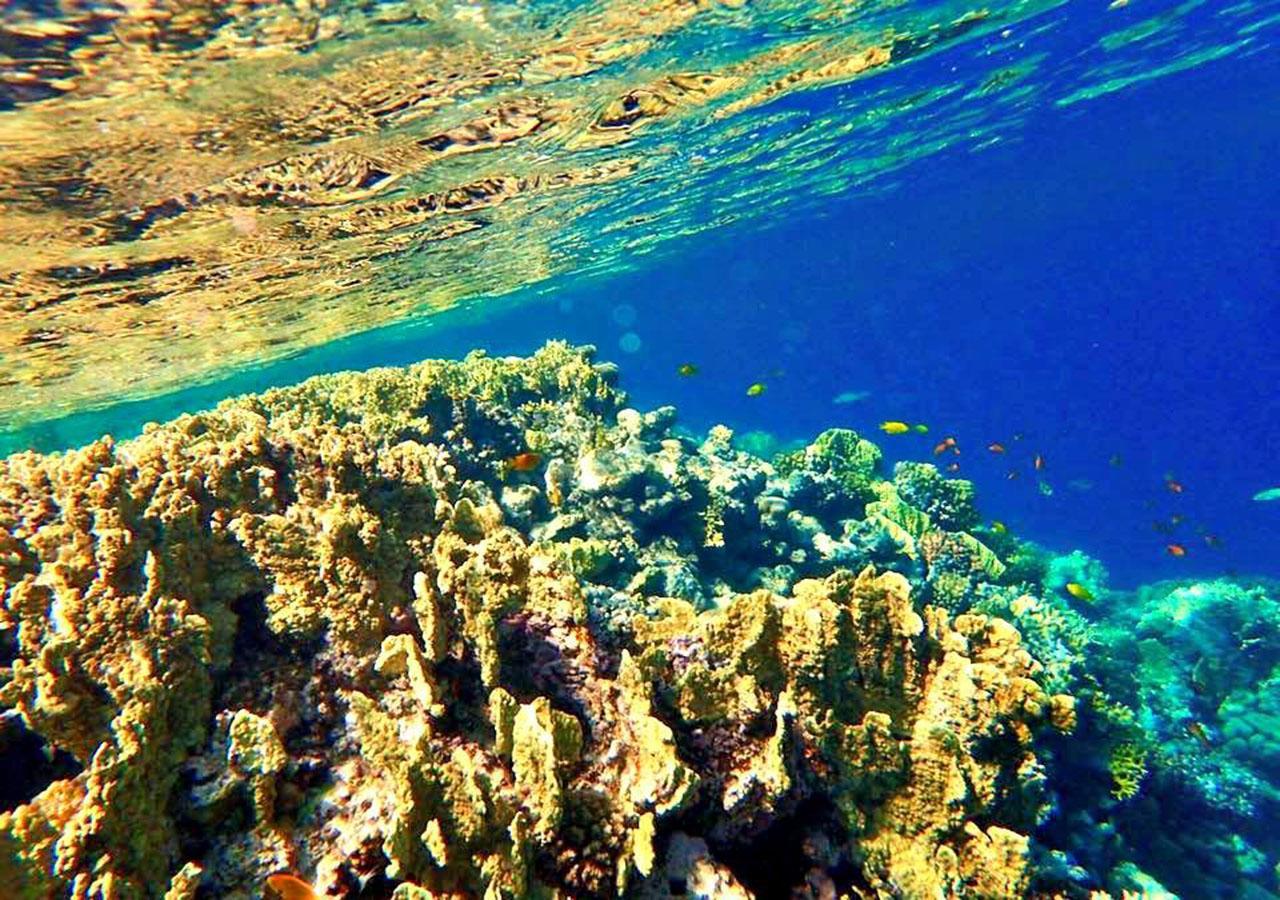 Sharm El Naga Resort And Diving Center Хургада Екстер'єр фото